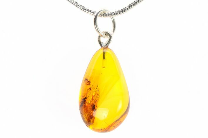 Polished Baltic Amber Pendant (Necklace) - Contains Fly! #288860